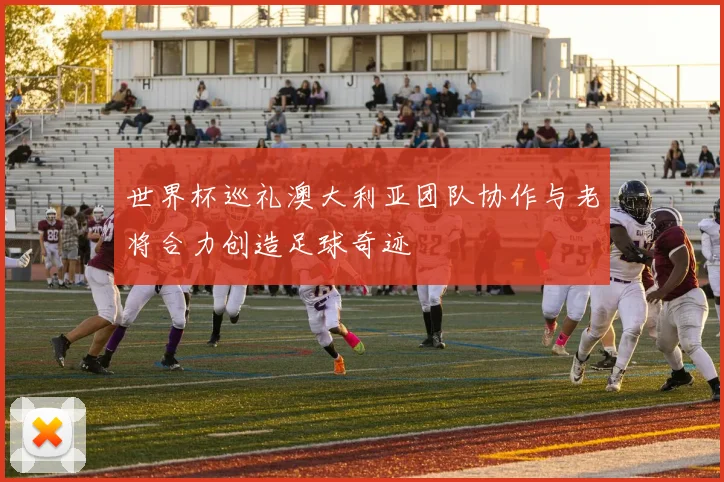世界杯巡礼澳大利亚团队协作与老将合力创造足球奇迹
