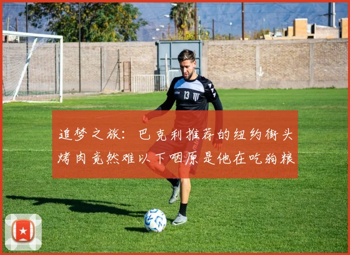 追梦之旅：巴克利推荐的纽约街头烤肉竟然难以下咽原是他在吃狗粮